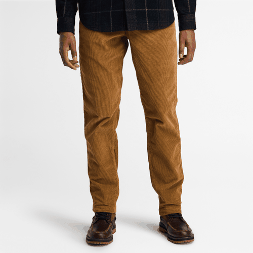 Pantaloni in Velluto a Coste da Uomo in scuro, Uomo, , Taglia: 34 - Timberland - Modalova