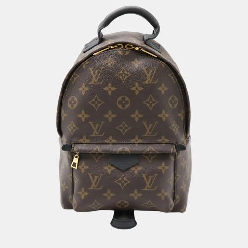 Monogram Palm Springs Backpack PM - Louis Vuitton - Modalova