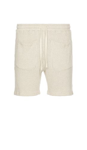 SHORT EN MAILLE STRIPED en . Taille L. Also en XL/1X - KROST - Modalova