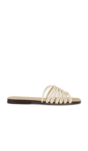 Maddalena Capri Sandal in . Size 36. Also in 36.5, 37.5, 39 - Maria Luca - Modalova