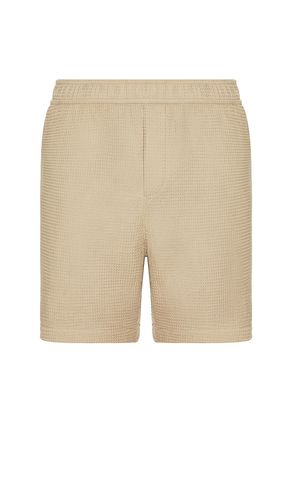 Chaimers Short in . Taglia L. Also in M, S, XL/1X - PAIGE - Modalova