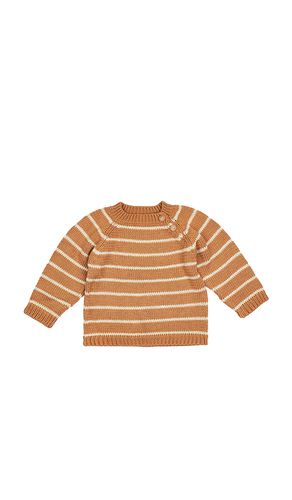 Stripe Crew Neck Sweater in . Taglia 2/3. Also in 3/4, 5/6 - Wild Wawa - Modalova