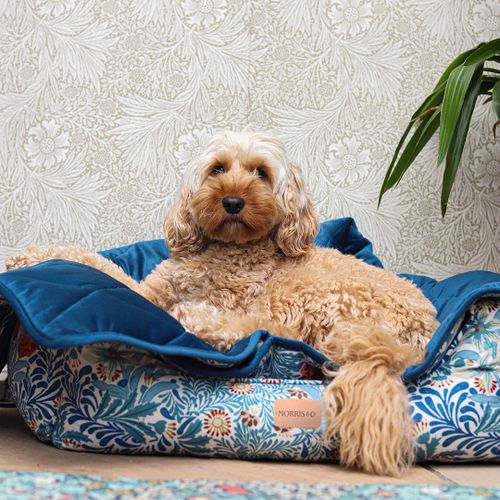 Morris & Co. Bower Pet Blanket 150cm x 100cm - Morris & Co - Modalova