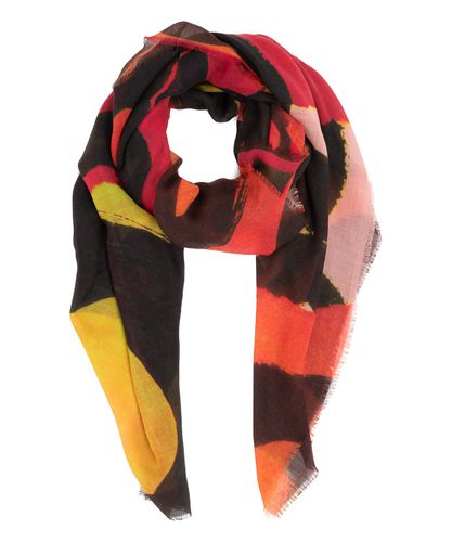 Wool scarf - Barbieri - Modalova