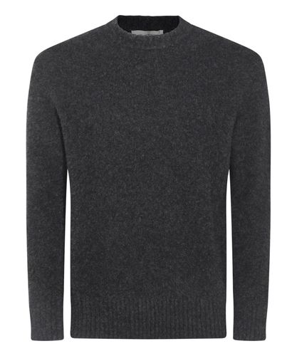 Pullover - Piacenza Cashmere - Modalova