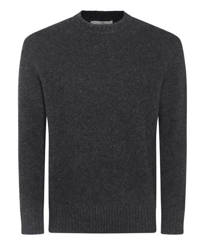 Sweater - Piacenza Cashmere - Modalova