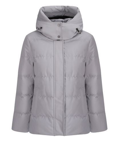 Cloud 3Q Down jacket - Moose Knuckles - Modalova