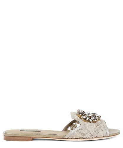 Rainbow Sandals - Dolce & Gabbana - Modalova