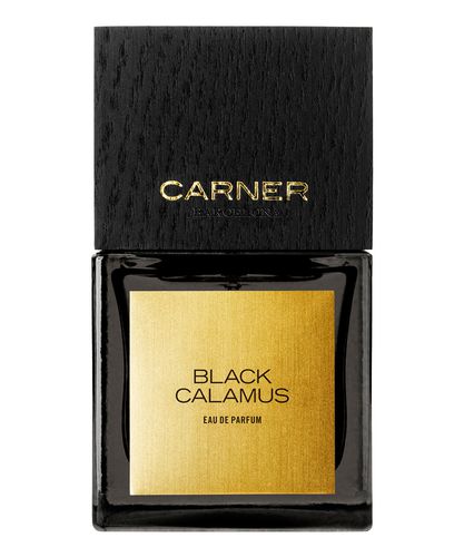 Black calamus eau de parfum 50 ml - Carner Barcelona - Modalova