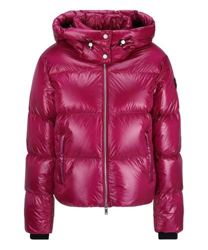 Down jacket - Moose Knuckles - Modalova