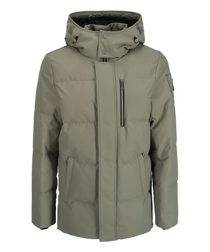 Cloud 3q Down jacket - Moose Knuckles - Modalova