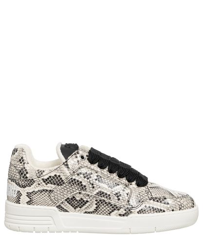 Sneakers teddy bear - Moschino - Modalova