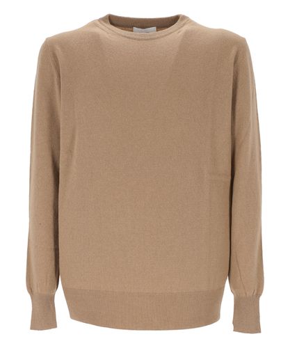 Sweater - Lardini - Modalova