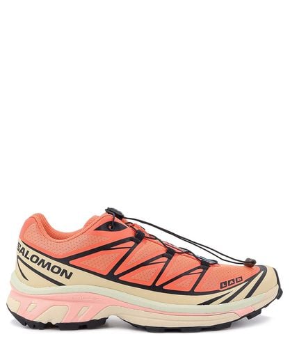 Sneakers xt-6 - Salomon - Modalova