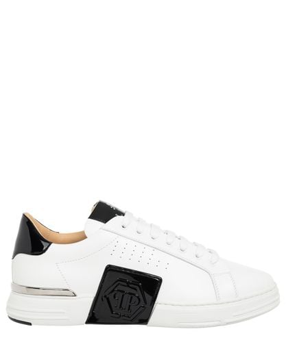 Hexagon lo-top sneakers - Philipp Plein - Modalova