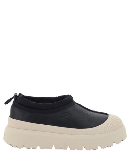 Tasman Sneakers - UGG - Modalova