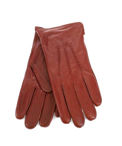 NPG118 Herren Lederhandschuhe Cognac - Migant - Modalova