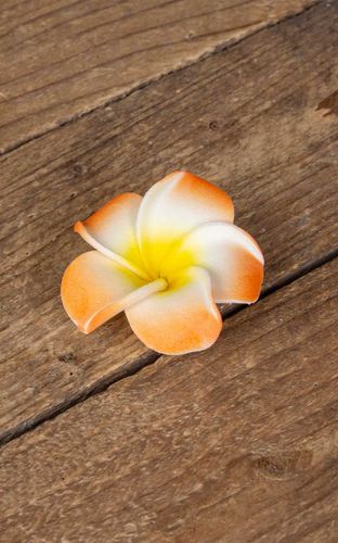 Haarspange Plumeria Hawaii Blüte, orange - Rockabilly Rules (DACH) - Modalova