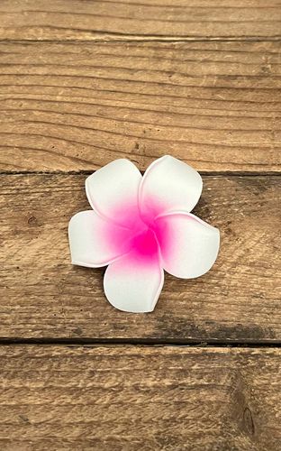 Haarspange Plumeria Hawaii Blüte, weiß pink - Rockabilly Rules (DACH) - Modalova