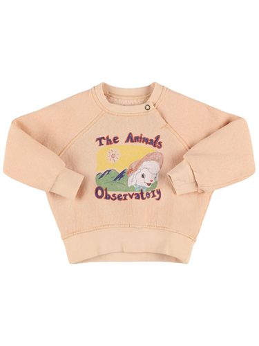 Sudadera De Algodón - THE ANIMALS OBSERVATORY - Modalova