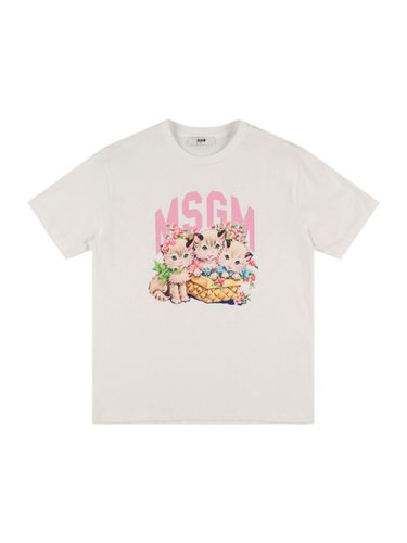 Camiseta De Algodón Interlock Estampado - MSGM - Modalova