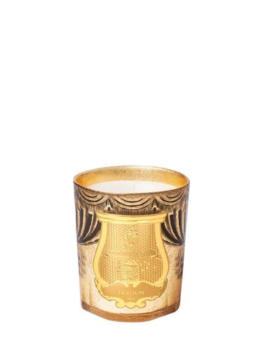 Candela Arosa 270g - TRUDON - Modalova