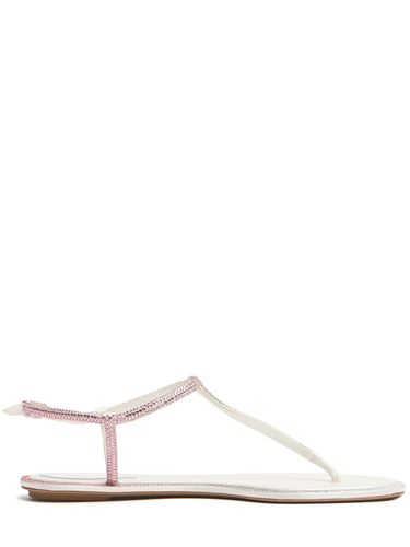 Mm Diana Satin Thong Sandals - RENÉ CAOVILLA - Modalova