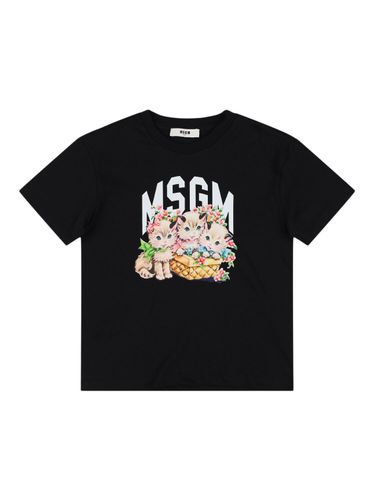 Camiseta De Algodón Interlock Estampado - MSGM - Modalova