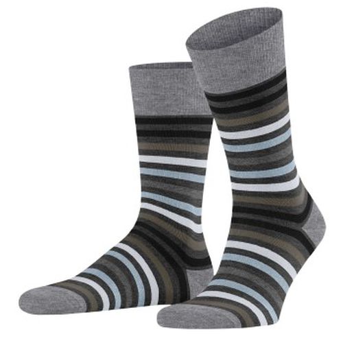 Falke Stripe Socks Schwarz/Grau Gr 43/46 Herren - Falke KGaA - Modalova