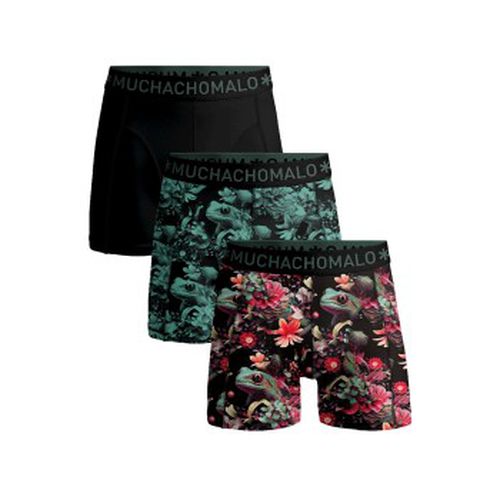 P Cotton Stretch Boxer Rot/Grün Baumwolle Large Herren - Muchachomalo - Modalova