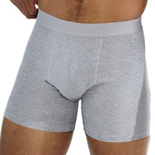 Bread and Boxers Brief Boxer Long Leg 3P Grau Ökologische Baumwolle Small Herren - Bread & Boxers - Modalova