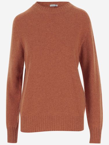 Malo Cashmere Sweater - Malo - Modalova