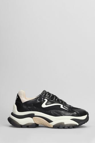 Addict Sneakers In Leather And Fabric - Ash - Modalova