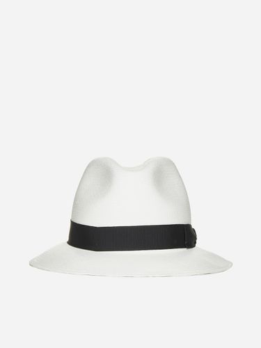 Federico Panama Fine Medium Brim - Borsalino - Modalova