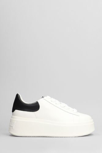 Ash Moby Sneakers In White Leather - Ash - Modalova