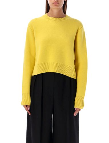 Lanvin Crewneck Sweater - Lanvin - Modalova