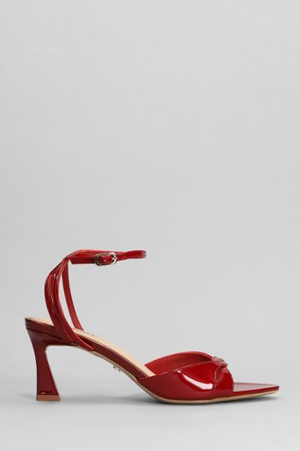 Bianca 65 Sandals In Patent Leather - Lola Cruz - Modalova