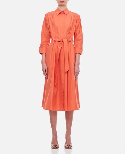 Max Mara Flavio Dress - Max Mara - Modalova