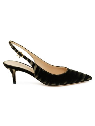 Mink Zebra Print Velvet Pumps - Gianvito Rossi - Modalova