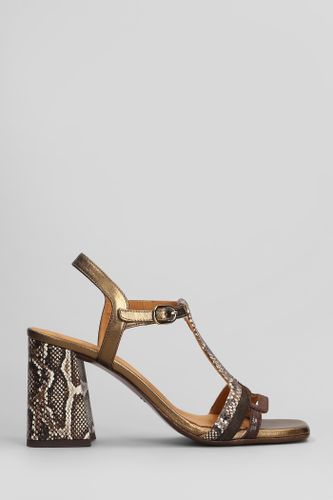 Piyata 46 Sandals In Leather - Chie Mihara - Modalova