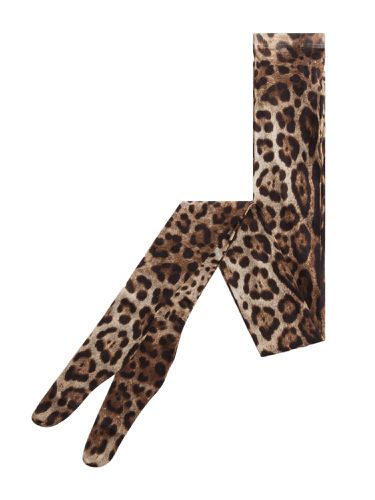 Leopard Print Tights - Dolce & Gabbana - Modalova