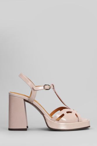 Zinto 46 Sandals In - Leather - Chie Mihara - Modalova