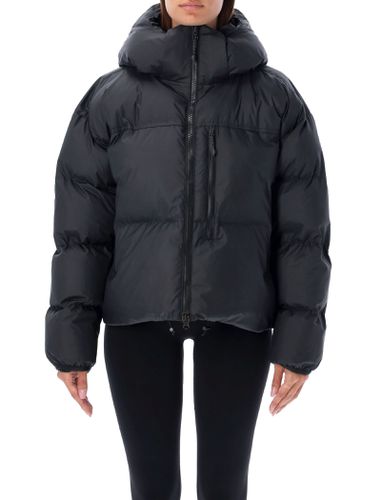 Short Puffer - Adidas by Stella McCartney - Modalova