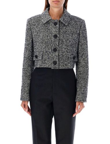 Cropped Tweed Jacket - Dolce & Gabbana - Modalova