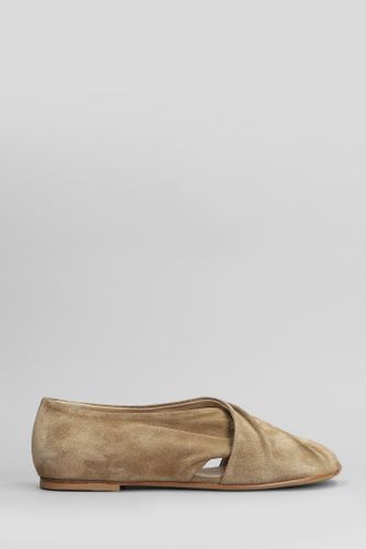 Ballet Flats In Suede - Elena Iachi - Modalova