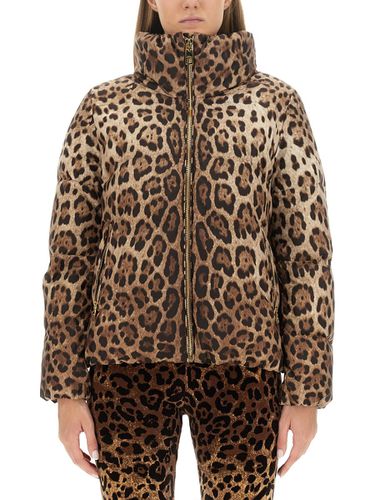 Leopard Print Padded Jacket - Dolce & Gabbana - Modalova