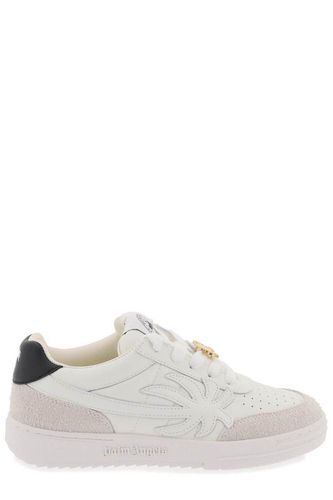 Palm Beach University Low-top Sneakers - Palm Angels - Modalova