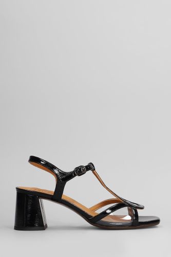 Ryona Sandals In Leather - Chie Mihara - Modalova