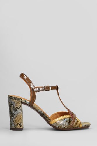 Bejo Sandals In Leather - Chie Mihara - Modalova