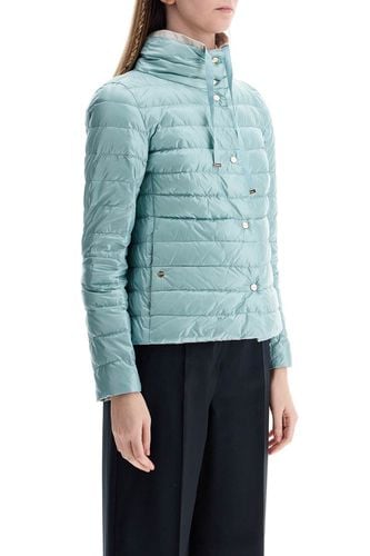 Short Puffer Jacket In Ice Blue Nylon With Metal Buttons - Herno - Modalova